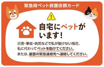 緊急時ペット救護依頼カード（表）