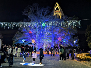 びさいまつりの画像