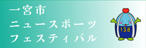 ニュースポーツフェスティバル