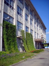 写真：緑のカーテンができている校舎の外観