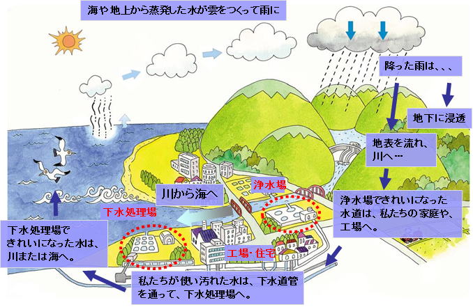 イラスト：水の循環