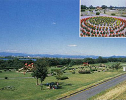 木曽川緑地公園の芝生と花壇の写真