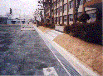 写真：周囲小堤と集水側溝の全景