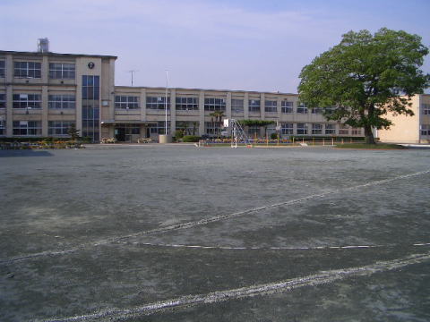 写真：西成小学校のグラウンド全景