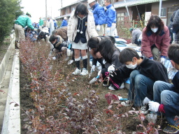 毛受緑道 植樹祭写真10