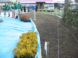 毛受緑道 植樹祭写真1