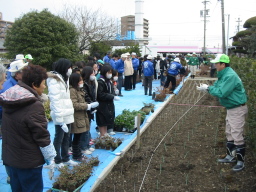 毛受緑道 植樹祭写真4