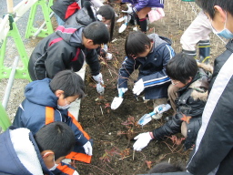 毛受緑道 植樹祭写真5