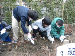 毛受緑道 植樹祭写真6