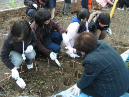 毛受緑道 植樹祭写真8