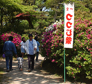 写真：つつじ祭の様子