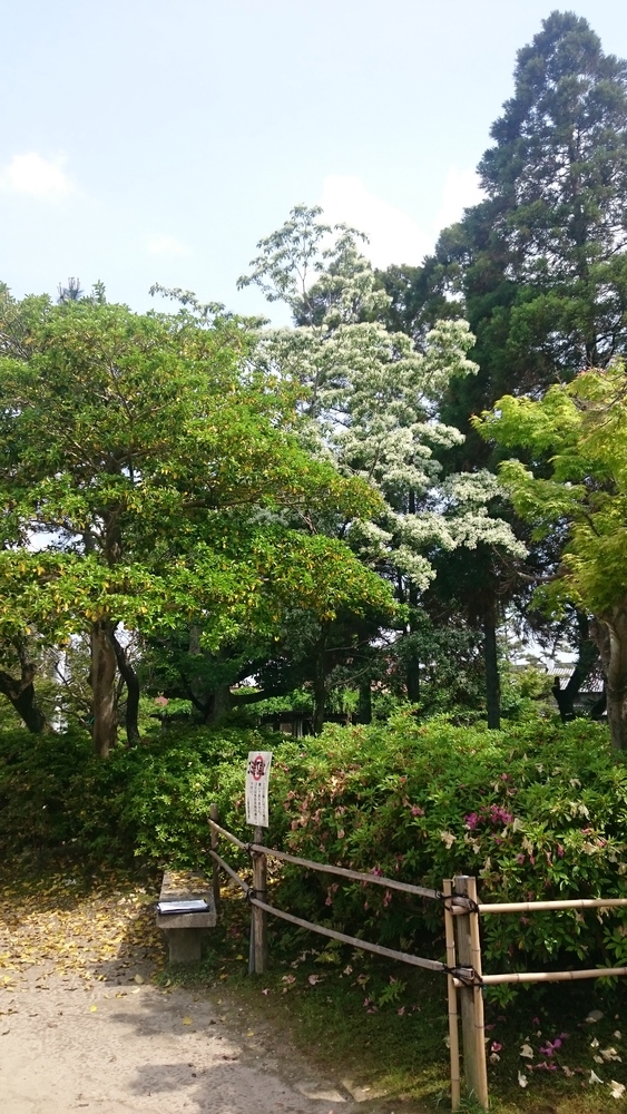 浅野公園花