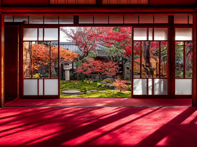 紅葉の写真