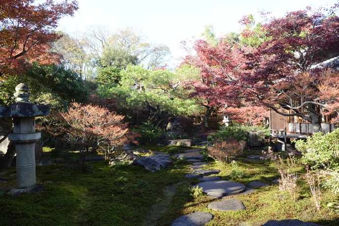 紅葉の旧林氏庭園の写真