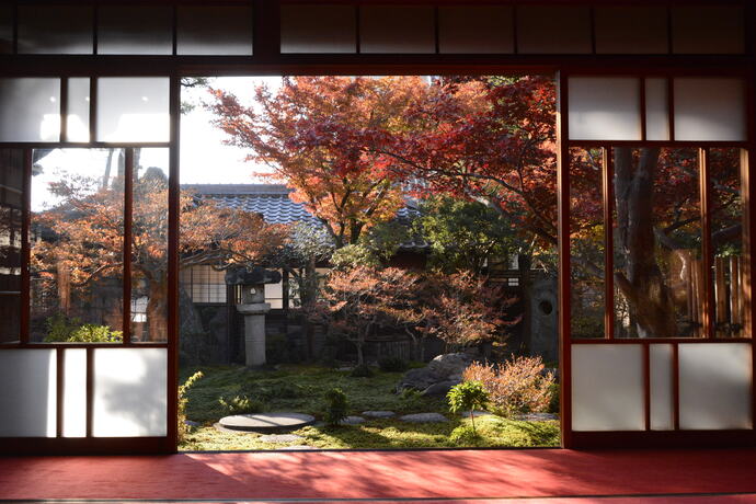 紅葉の写真