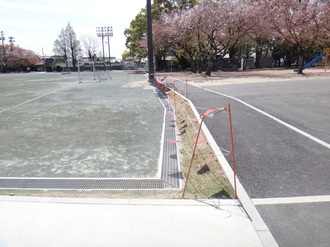 写真：周囲小堤と集水側溝の風景