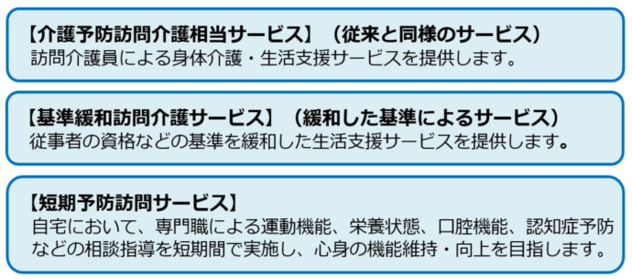 訪問型サービスの概要