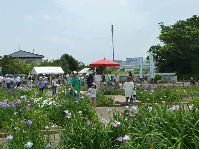 萬葉公園イベント写真