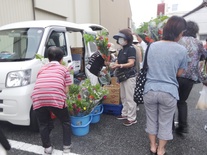 写真：朝市の様子