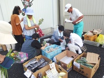 写真：朝市の様子