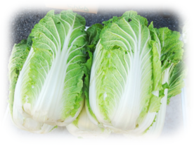 写真:白菜