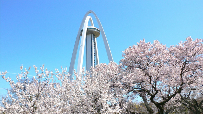バナー画像(外部リンク・新しいウインドウで開きます)