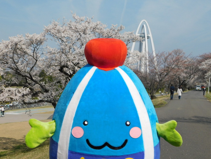 写真：いちみん
