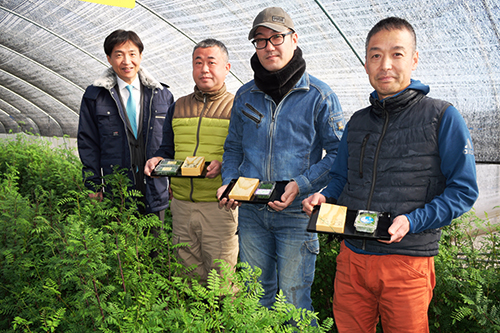 木の芽の生産地を視察する市長の写真