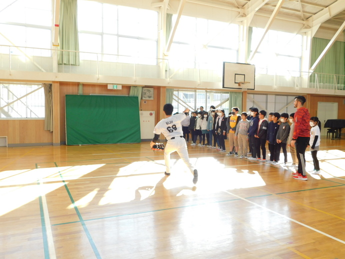 86