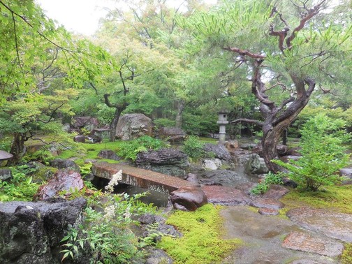 雨の庭園の写真