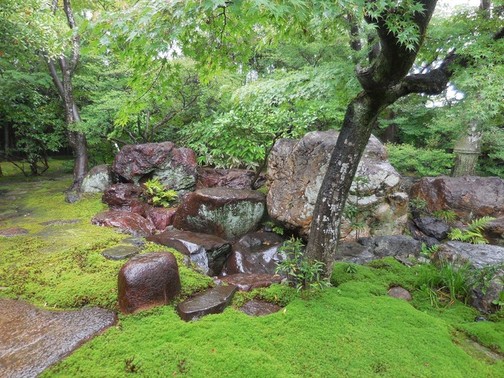 雨の築山の写真