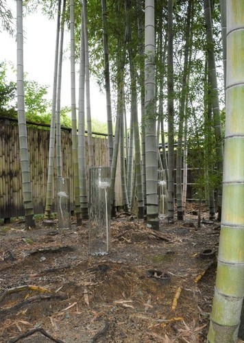 美術展の作品と竹林の写真