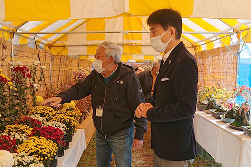 市長が菊花を鑑賞している様子の写真