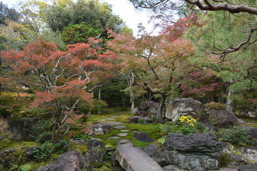 11月16日の紅葉の様子の写真1