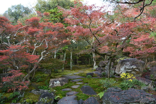 11月23日の紅葉の様子の写真2