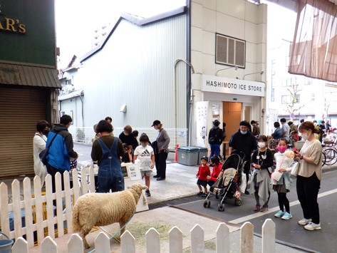 本町通りにひつじが登場