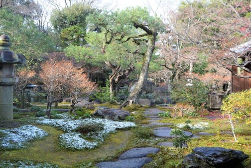 12月の庭園の写真