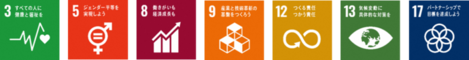 SDGsロゴ3,5,8,9,12,13,17