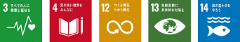 SDGsロゴ1