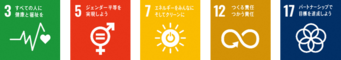 SDGsロゴ3,5,7,12,17
