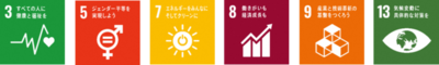 SDGsロゴ3,5,7,8,9,13