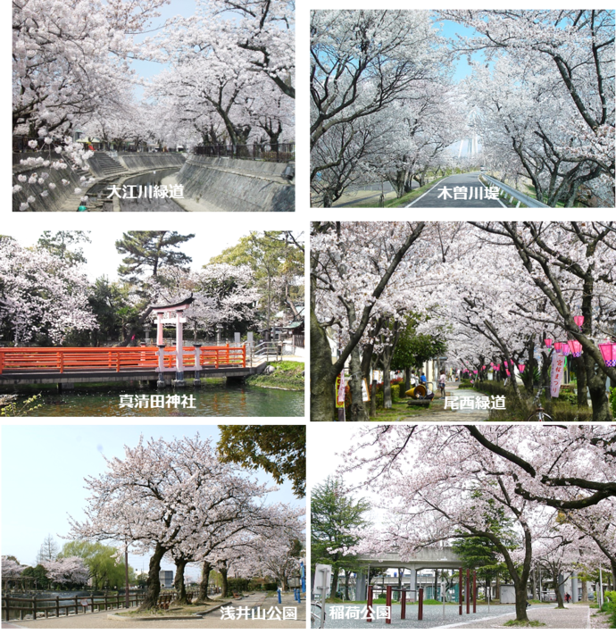一宮桜まつり会場