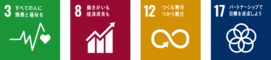 SDGsロゴ3,8,12,17