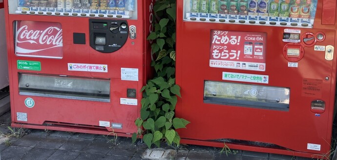 自販機へ啓発用マグネットシールの掲出