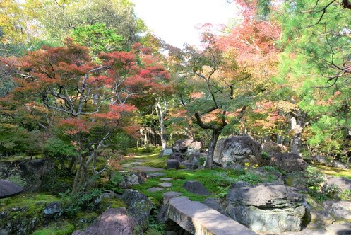 11月10日の庭園の写真2