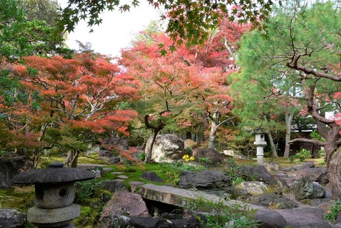 11月16日の庭園の写真2