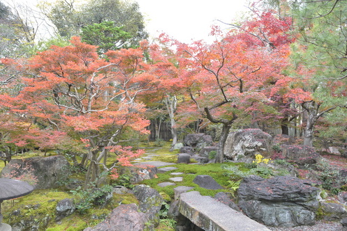 11月22日の庭園の写真2