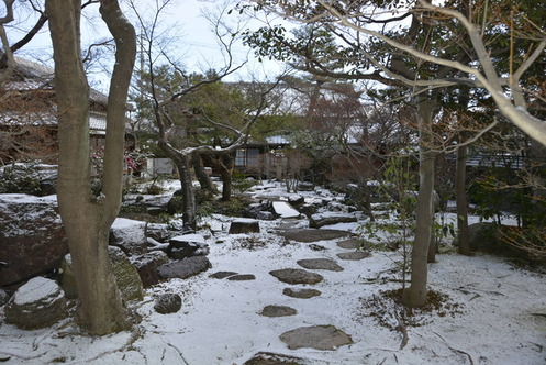 2023年1月25日の庭園の写真1