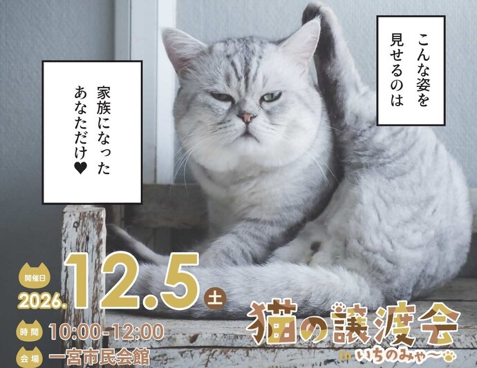12月5日譲渡会の画像