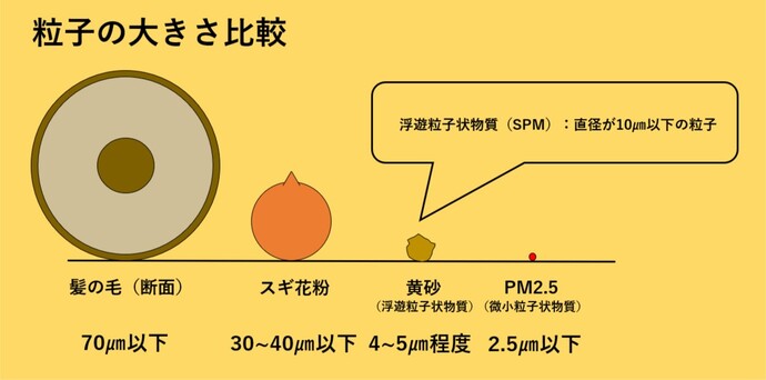 粒子の大きさ比較